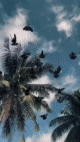 hover